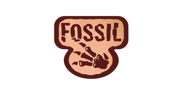 Fossil 1st Edition