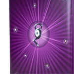 Pokémon TCG Collector Binder - Neo Destiny