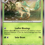 005/131 Leafeon (Cosmos Holo) Holo Rare Miscellaneous Cards & Products NM