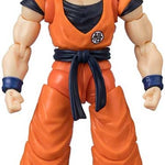 DRAGON BALL EVOLVE GOKU