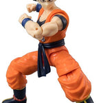 DRAGON BALL EVOLVE GOKU